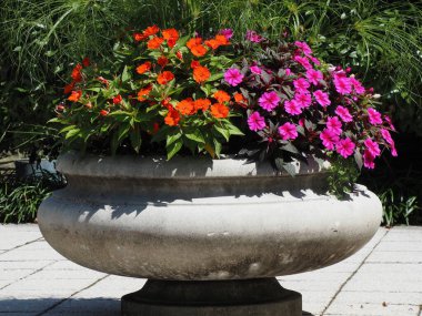 Abington 'daki Penn State Üniversitesi kampüsü, PA