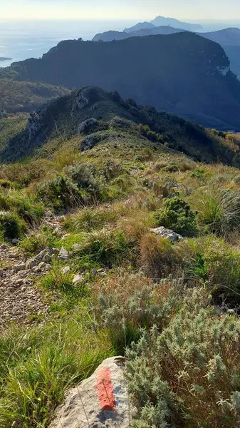 Güzel deniz manzarası ve Güney İtalya 'da Sorrento Penisülü
