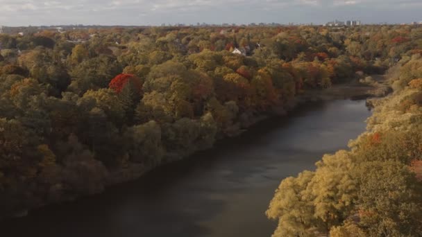 Légi Felvétel Gyönyörű Őszi Lombozatról Filmfelvétel — Stock videók