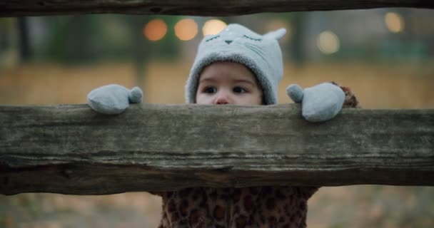 夕暮れ時の寒い秋の日に公園を探索幼児の女の子 シネマティック4K映像 — ストック動画