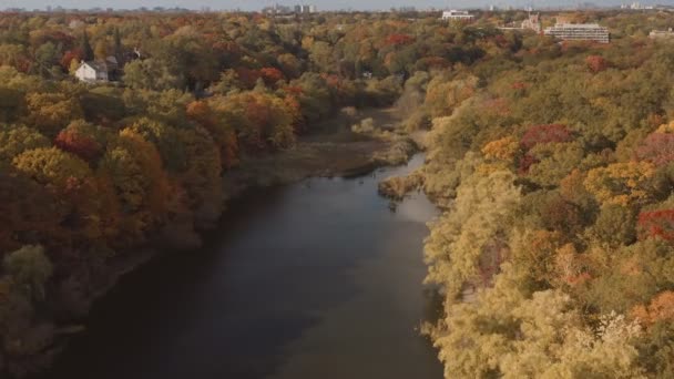 美しい紅葉の空中確立ショット シネマティック4K映像 — ストック動画