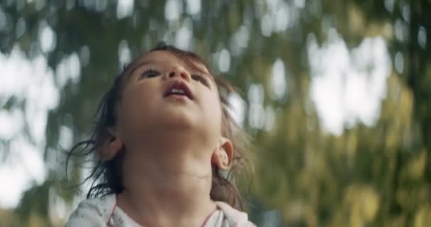Nettes Kleines Mädchen Das Sommer Einen Park Erkundet Das Wirkliche — Stockvideo