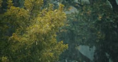 Ağır çekim, şiddetli bir fırtınanın görüntüsünü oluşturuyor. 4K RAW 'da bir sinema kamerasında çekildi..