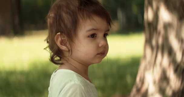 Nettes Kleines Mädchen Das Sommer Einen Park Erkundet Echtes Leben — Stockvideo