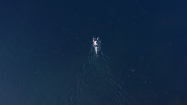 Veduta Aerea Dell Uomo Caucasico Che Nuota Nel Lago Gigante — Video Stock