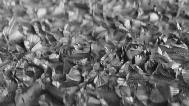 Абстрактная Инопланетная Текстура Cgi Анимация Беззвучная Петля — стоковое видео