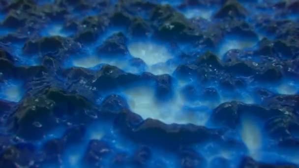 Résumé Ferrofluide Boucle Sans Couture — Video