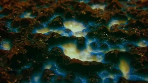 Abstrakt Ferrofluid Bezešvé Smyčky — Stock video