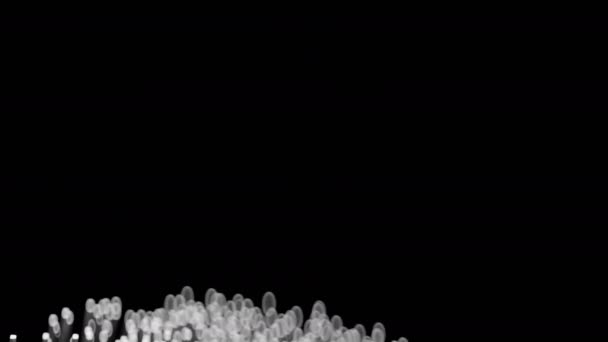 Волоконно Оптические Кабели Растут Через Рамку Cgi Animation — стоковое видео