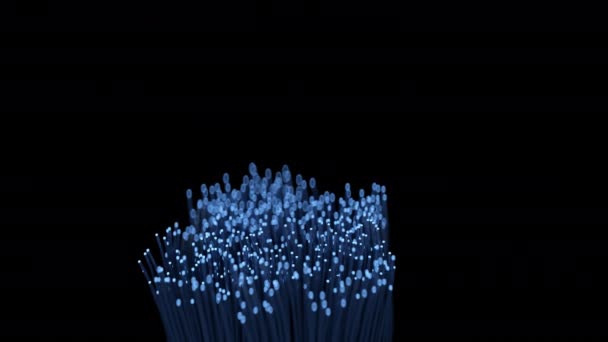 Cabos Fibra Óptica Crescem Todo Quadro Animação Cgi — Vídeo de Stock
