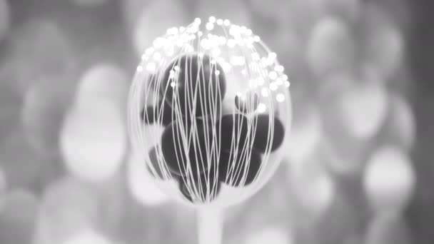 Flor Abstracta Con Esferas Animación Cgi — Vídeo de stock