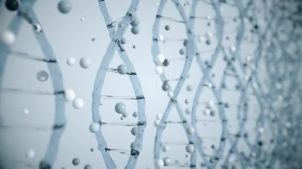 Abstract Dna Concept Seamless Loop — Stock Video
