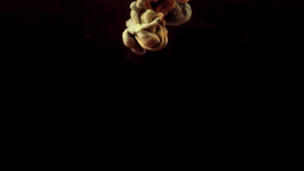 Красочная Капелька Чернил Чёрном Фоне Эффект Реальной Камеры — стоковое видео