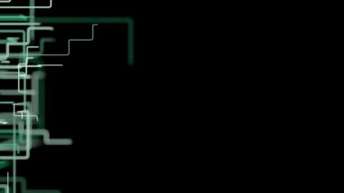 4K Özet Ağ Büyümesi. 3B CGI animasyonu.