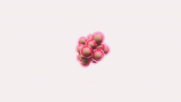 Mitose Cellulaire Animation Cgi — Video