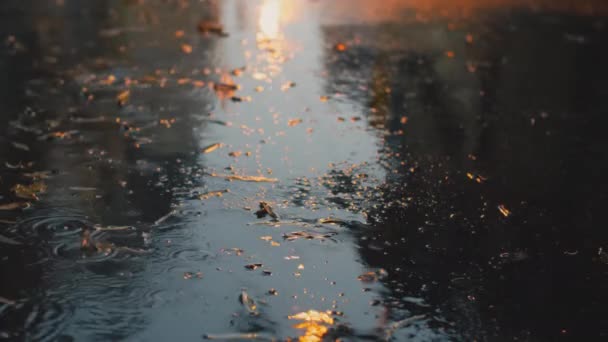 Déšť Padající Zpomaleném Filmu Ulici Města Noci Filmové Záběry Zpomalený — Stock video