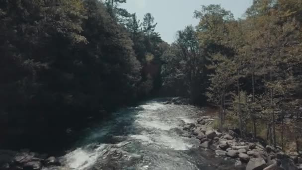 Aufnahme Von Rapids Luftaufnahmen — Stockvideo