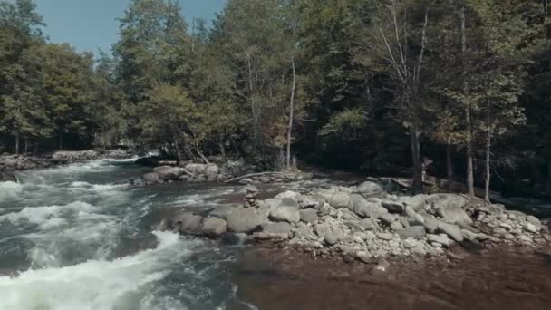 Rapids Görüntüsü Alınıyor Hava Görüntüleri — Stok video
