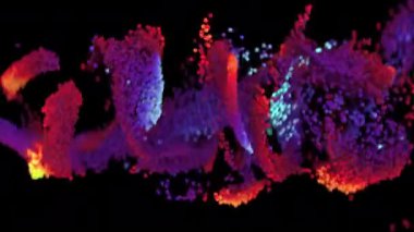 4K soyut parçacıklar çerçeve boyunca akar. 3B CGI animasyonu.