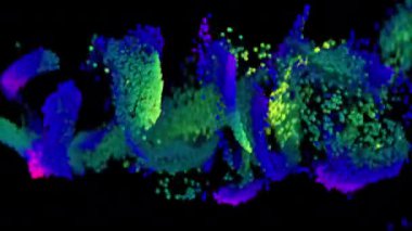 4K soyut parçacıklar çerçeve boyunca akar. 3B CGI animasyonu.