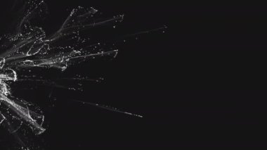 4K organik parçacıklar çerçeve boyunca duman, kül ve boya tozu gibi genişler.