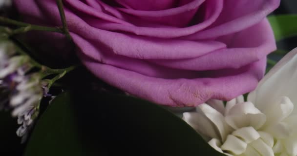 Macro Probe Shot Revealing Flower Bouquet Shot Cinema Camera — Stock Video