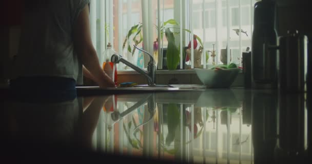 Schieber Aufnahme Einer Frau Die Hände Der Küchenspüle Reinigt Gedreht — Stockvideo