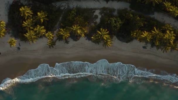 Αεροφωτογραφία Της Ακτής Του Πουέρτο Ρίκο Κινηματογραφικό Υλικό — Αρχείο Βίντεο