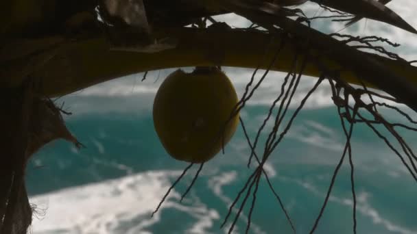 Ustalam Ujęcie Plaży Portoryko Nakręcony Kamerą Kinową Zwolniony Ruch — Wideo stockowe