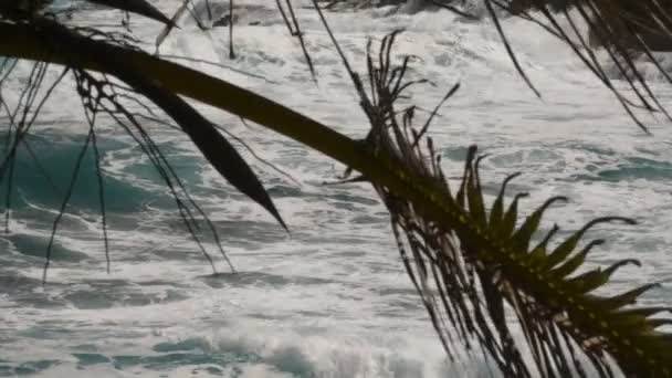 Establishing Shot Beach Puerto Rico Shot Cinema Camera Slow Motion — Stock Video