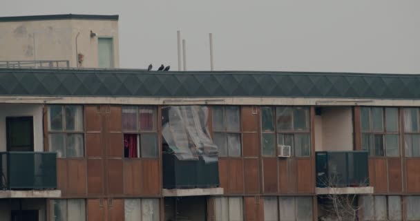 拍摄多伦多市中心一座破旧的公寓楼 用4K镜头在摄像机上拍摄 — 图库视频影像