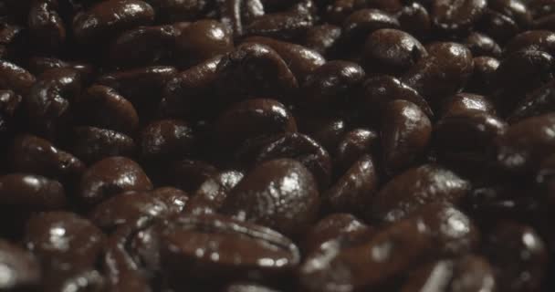 Makro Sonda Shot Dark Coffee Beans Snímek Raw Kameře — Stock video