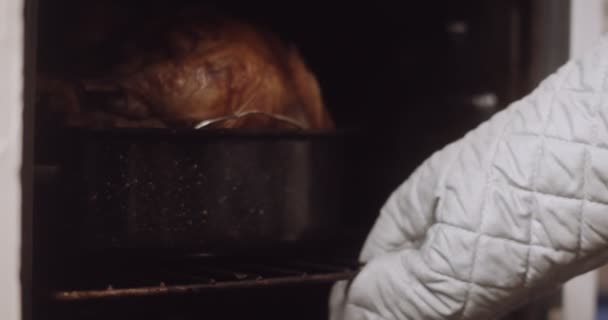检查烤箱里的火鸡4K镜头 — 图库视频影像