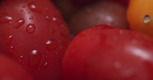 Medley Heirloom Grape Cherry Tomatoes Grabado Raw Una Cámara Cine — Vídeo de stock