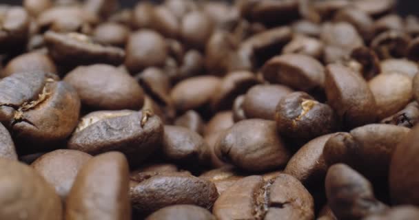 咖啡豆的宏观探测镜头 在4K的摄影棚用摄像机拍摄 — 图库视频影像