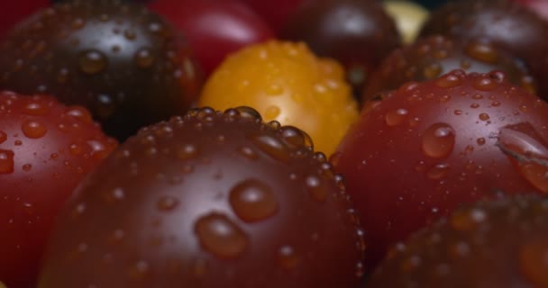 Medley Pamiątkowych Pomidorów Wiśniowych Sfilmowanych Soczewką Makro Sondy Nakręcony Raw — Wideo stockowe
