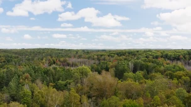 Aérienne Établissant Prise Vue Des Terres Forestières Luxuriantes Fin Été — Video