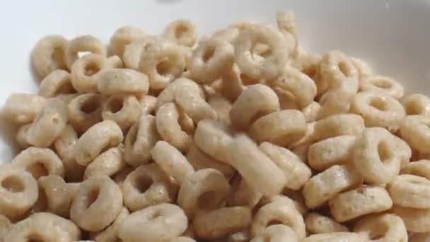 Cereales Genéricos Para Desayuno Que Caen Cámara Lenta Tazón Grabado — Vídeos de Stock