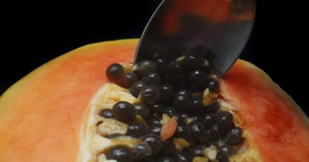 Unik Bild Papaya Filmad Med Makro Sond Lins Skjuten Raw — Stockvideo