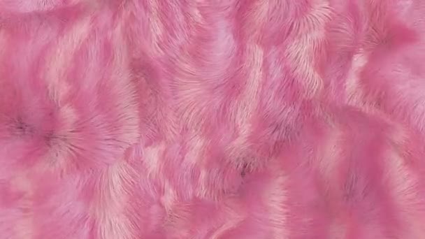 Pink Artificial Fur Background Animation — Stock Video