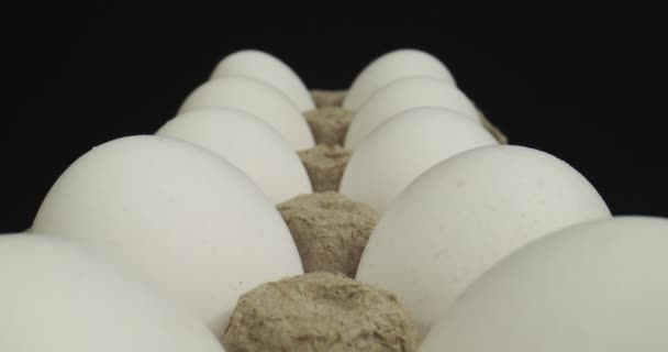 Probe Makro Ditembak Telur Mentah Dalam Kotak Kontainer Karton Shot — Stok Video