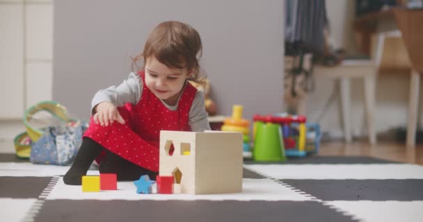 Criança Brincando Com Blocos Brinquedo Madeira Filmado Raw Uma Câmera — Vídeo de Stock