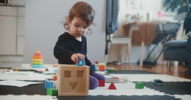 Küçük Çocuk Tahta Oyuncak Bloklarıyla Oynuyor Raw Bir Sinema Kamerasında — Stok video