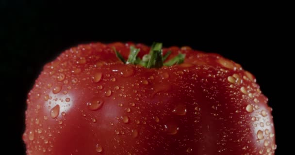 農場の新鮮なビーフステーキトマトの閉鎖ショット シネマカメラで4K Rawで撮影 — ストック動画