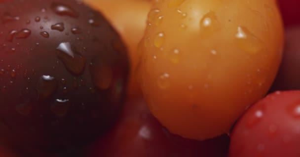 Medley Heirloom Grape Cherry Tomatoes Grabado Raw Una Cámara Cine — Vídeos de Stock