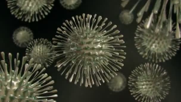 2019 Ncov Novel Coronavirus Center Outbreak Wuhan China Medically Accurate — Stock Video