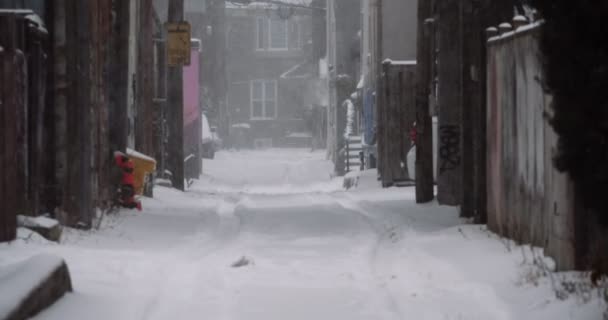 Een Enorme Sneeuwstorm Treft Stad Opgenomen Filmische Toronto — Stockvideo