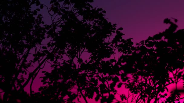 Neon Ağacı Yaprakları Kusursuz Döngü Uhd — Stok video