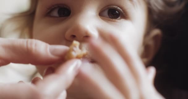 Nahaufnahme Eines Kleinen Mädchens Das Von Hand Gefüttert Wird Gedreht — Stockvideo