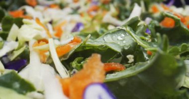 Makro lens ile taze salata üzerinde uçuyor. 4K RAW 'da bir sinema kamerasında çekildi..